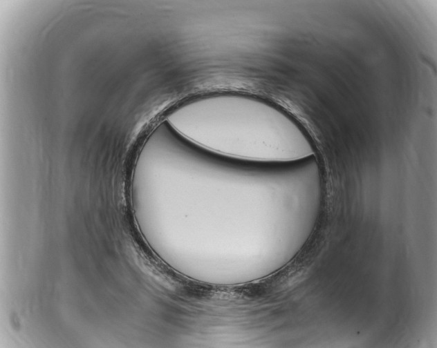 X0000100490399200806130800