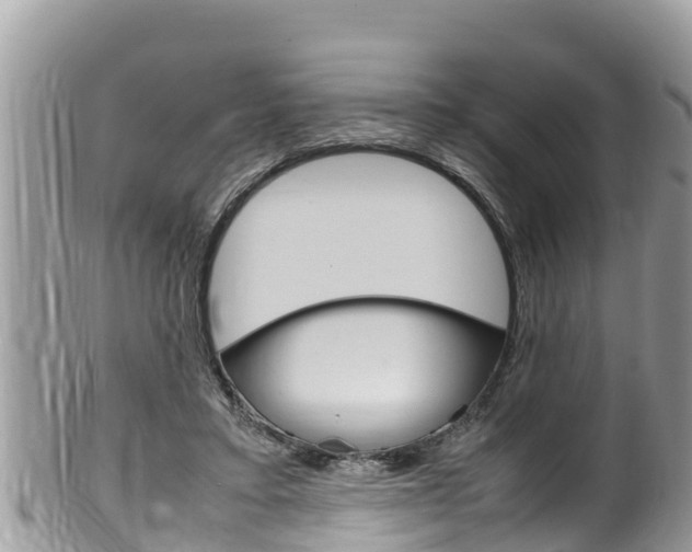 X0000100490403200806130800