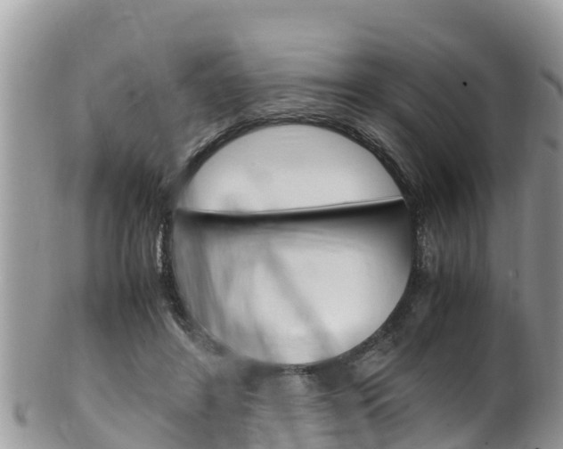 X0000100490404200806130800