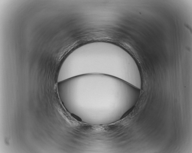 X0000100490405200806130800