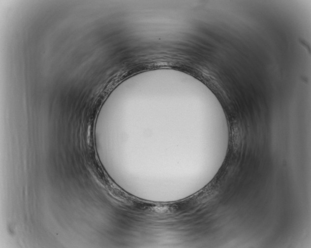 X0000100490406200806130800