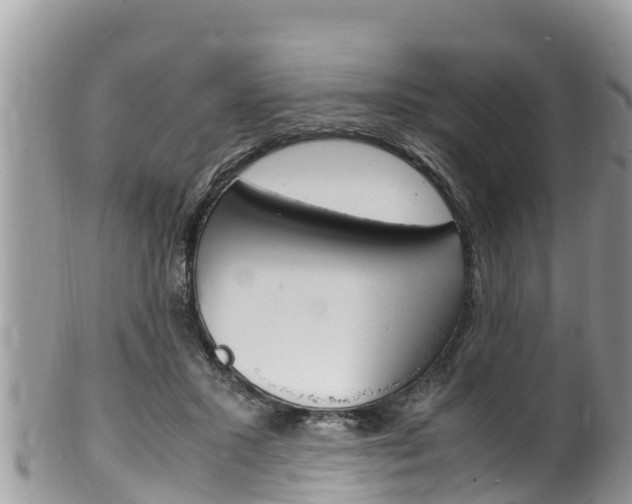 X0000100490407200806130800