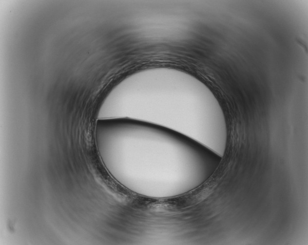 X0000100490408200806130800