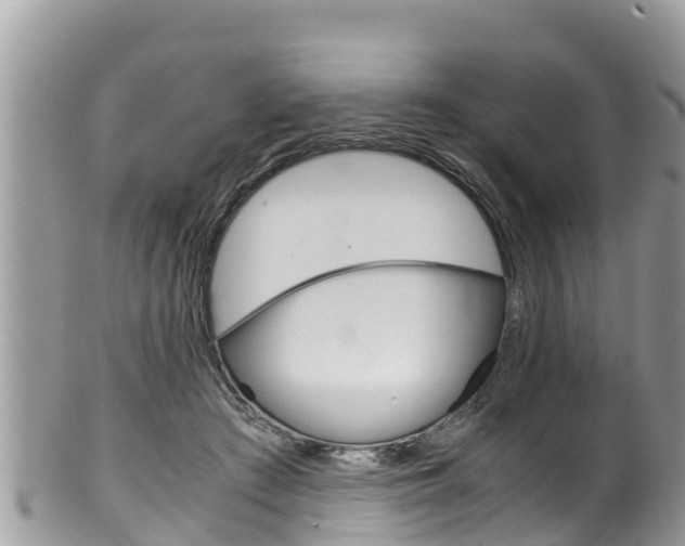 X0000100490409200806130800