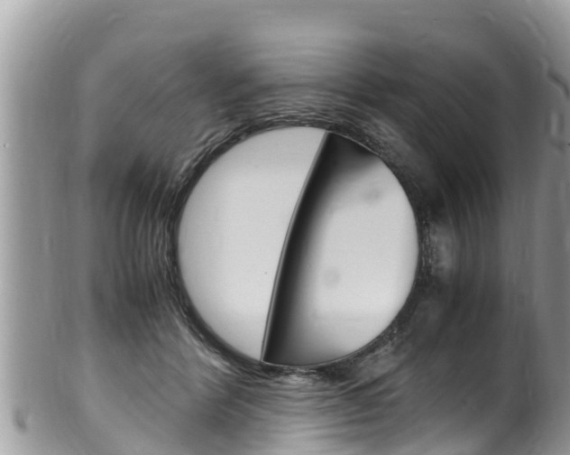 X0000100490412200806130800