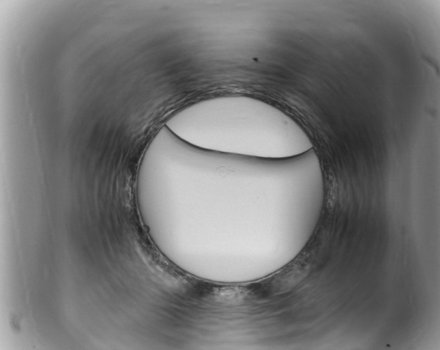 X0000100490414200806130800