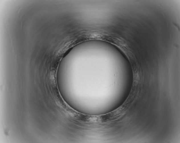 X0000100490415200806130800