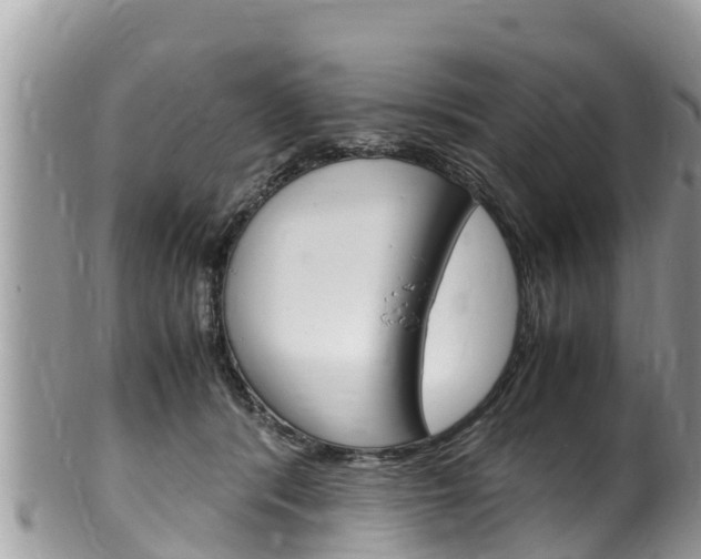 X0000100490416200806130800
