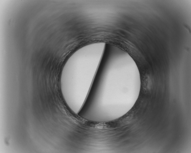 X0000100490420200806130800