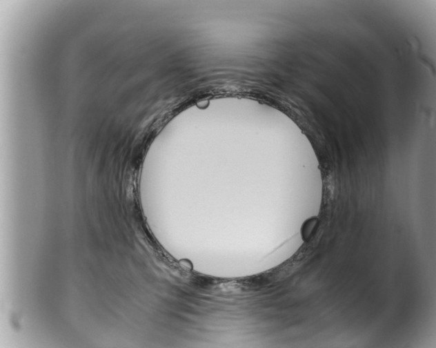 X0000100490423200806130800
