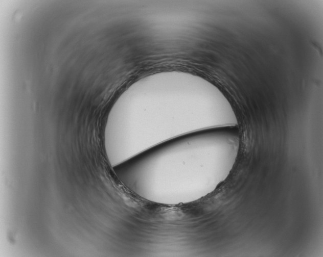 X0000100490424200806130800