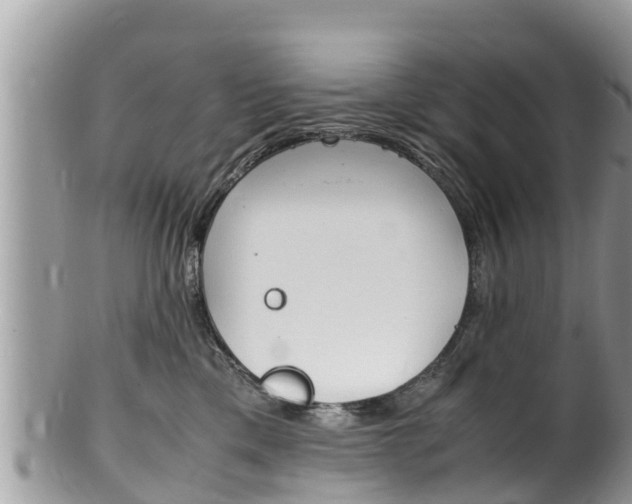 X0000100490425200806130800