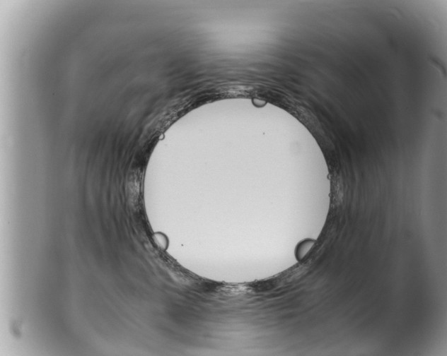 X0000100490427200806130800