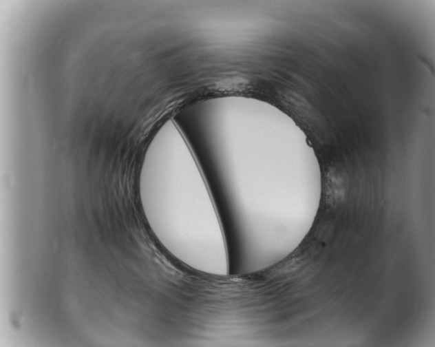 X0000100490428200806130800