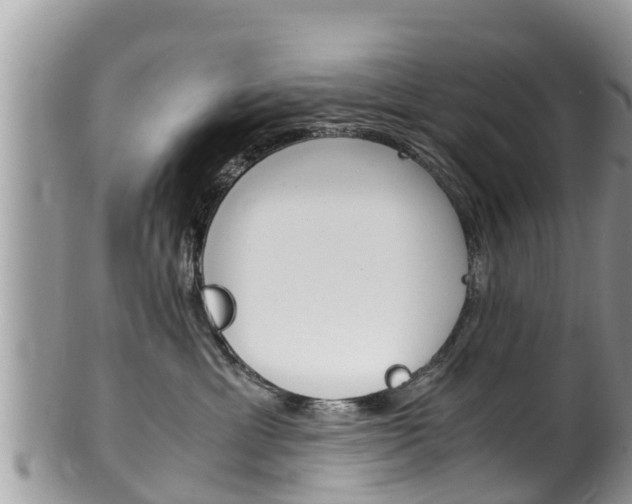 X0000100490429200806130759