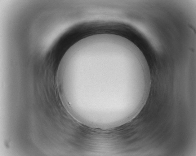 X0000100490431200806130759