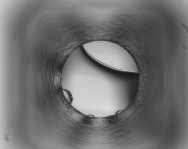 X0000100490432200806130759