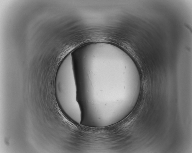 X0000100490433200806130759