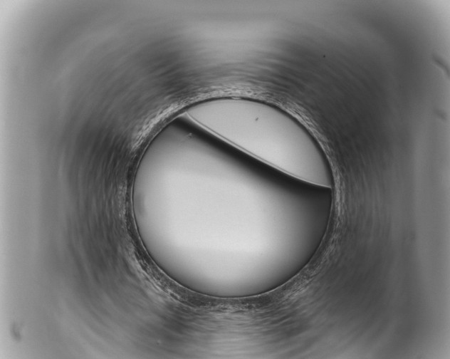 X0000100490434200806130759