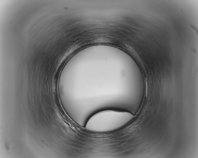 X0000100490435200806130759