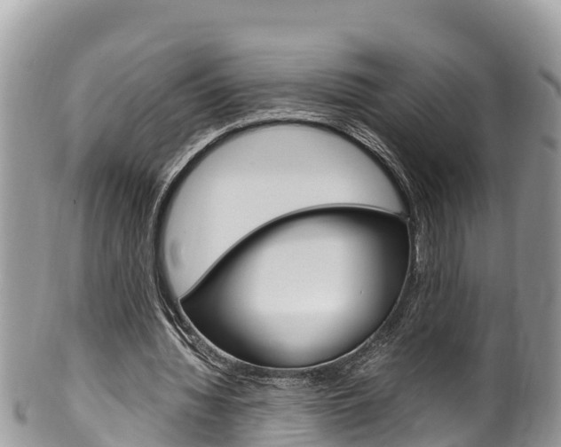 X0000100490436200806130759
