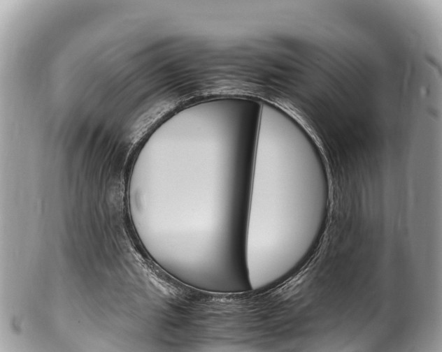 X0000100490437200806130759