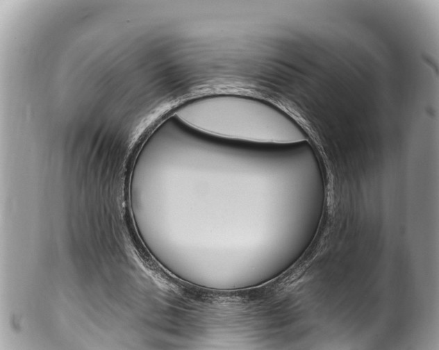 X0000100490438200806130759