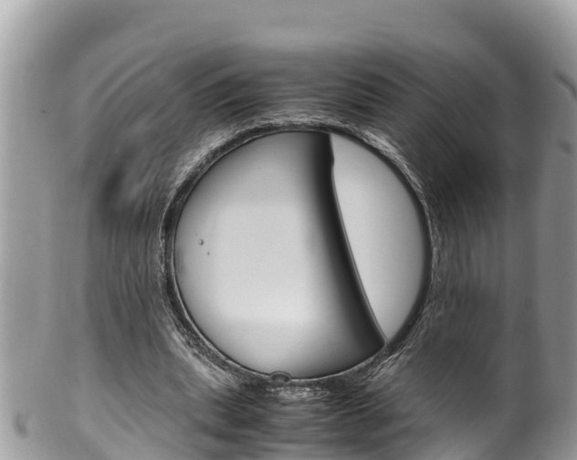X0000100490439200806130759