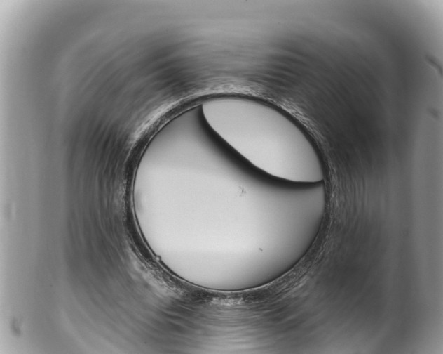 X0000100490440200806130759