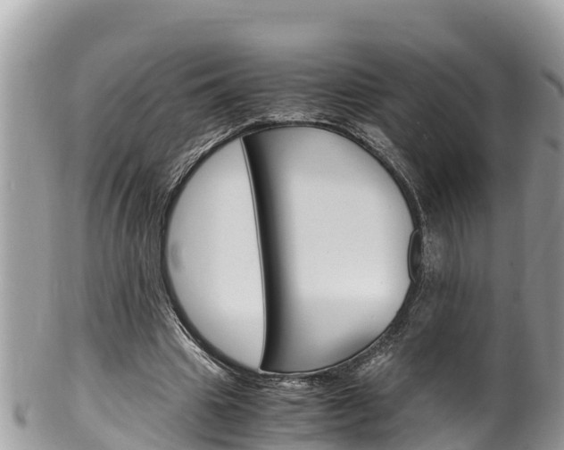X0000100490441200806130759
