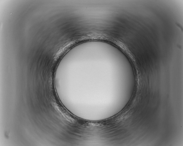 X0000100490442200806130759