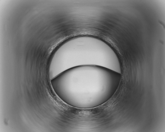 X0000100490444200806130759