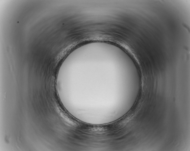 X0000100490445200806130759