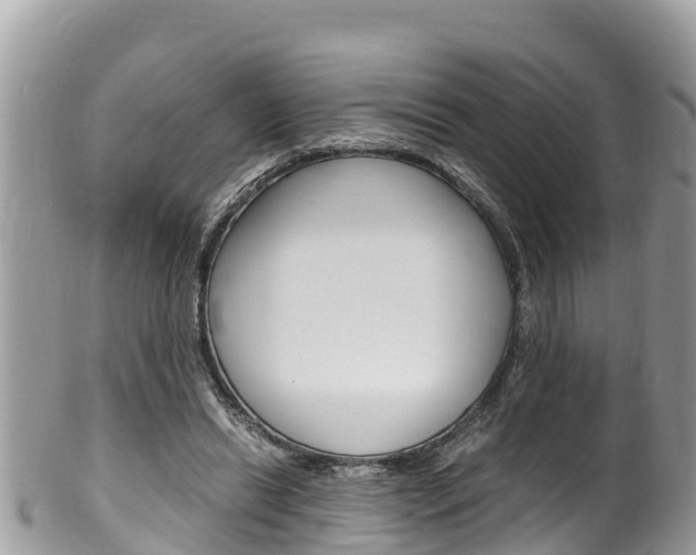 X0000100490446200806130759