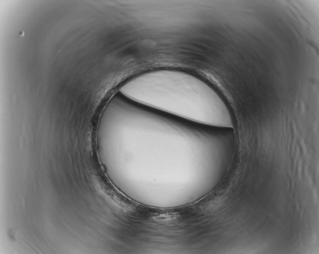 X0000100490447200806130759