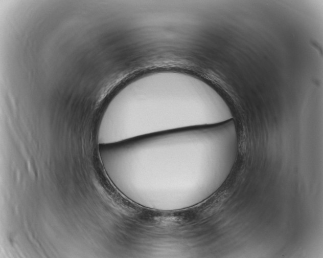 X0000100490448200806130759