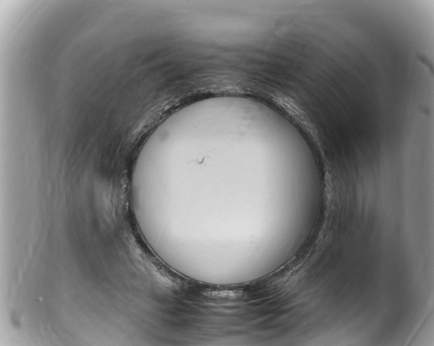 X0000100490449200806130759