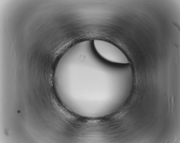 X0000100490450200806130759