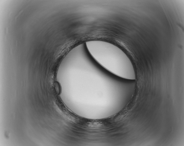 X0000100490451200806130759
