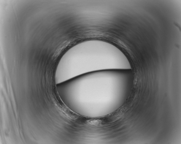 X0000100490452200806130759