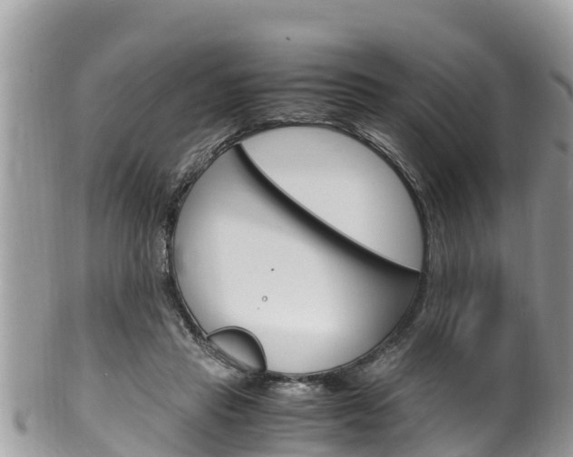 X0000100490453200806130759