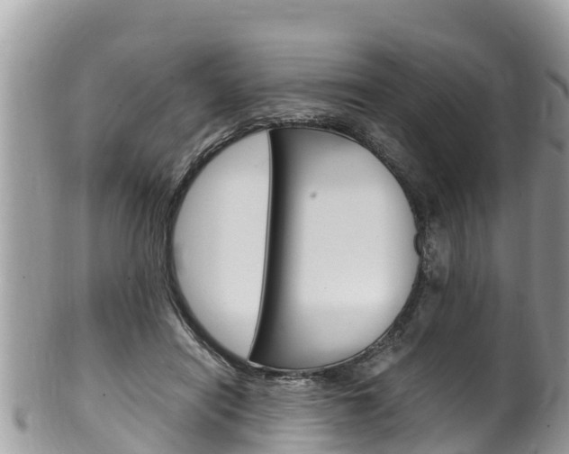 X0000100490454200806130759