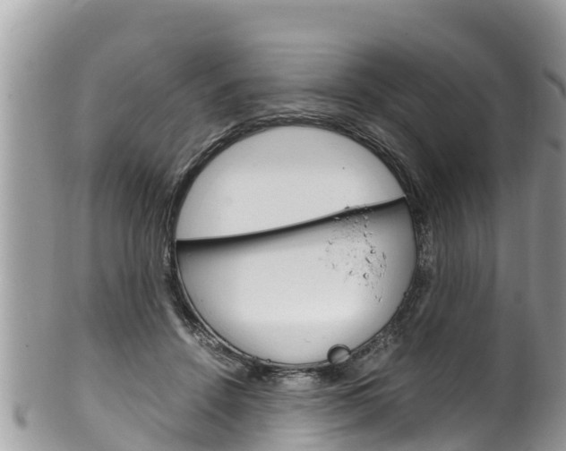 X0000100490456200806130759
