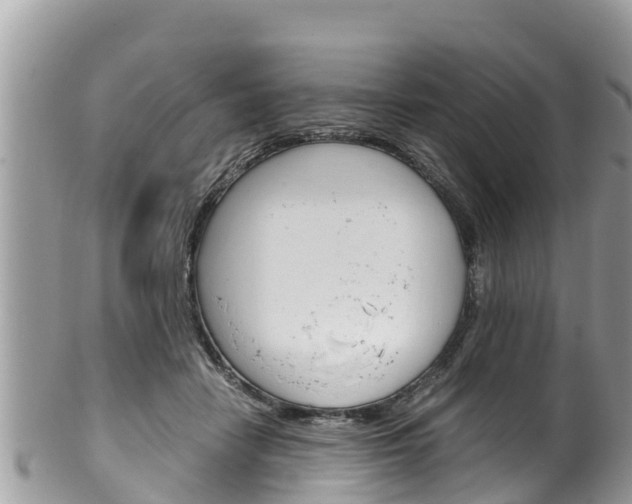 X0000100490458200806130759
