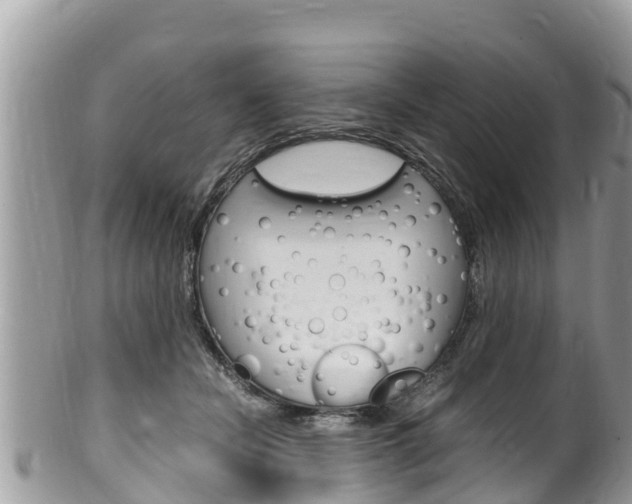 X0000100490462200806130759