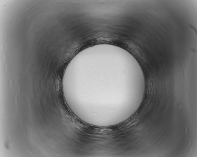 X0000100490463200806130759