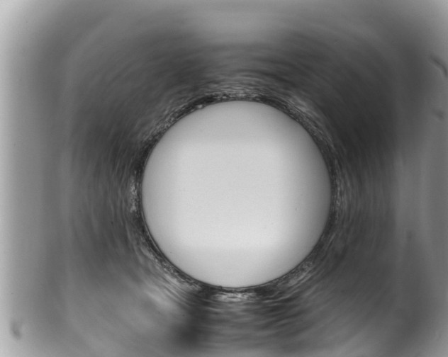 X0000100490465200806130759