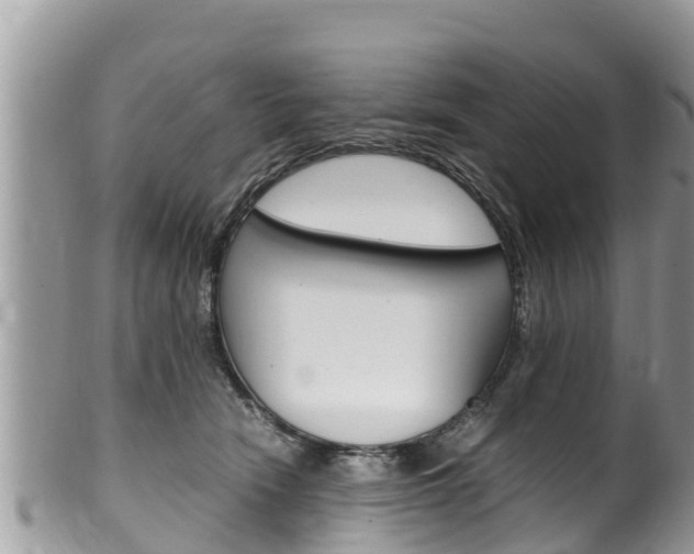 X0000100490466200806130759