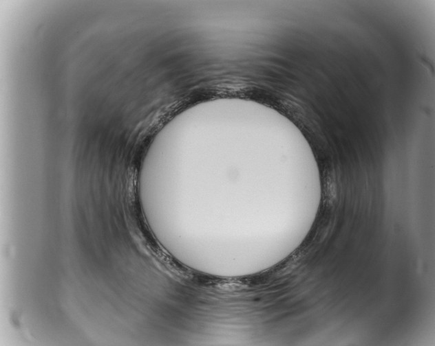 X0000100490468200806130759