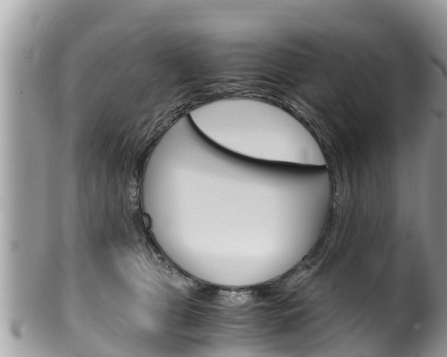 X0000100490469200806130759